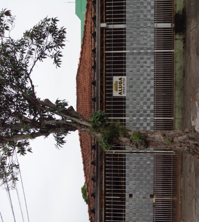 C0573 3.JPG